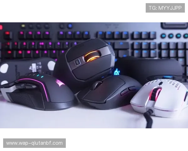 半岛体育下载入口官网提供最新版本游戏下载和安全保障