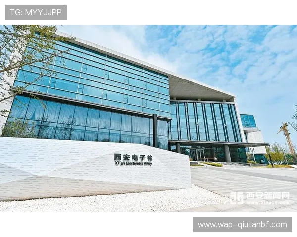 yb电子未来发展趋势预测引领行业创新的核心方向与战略布局 yb电子未来发展趋势预测引领行业创新的核心方向与战略布局